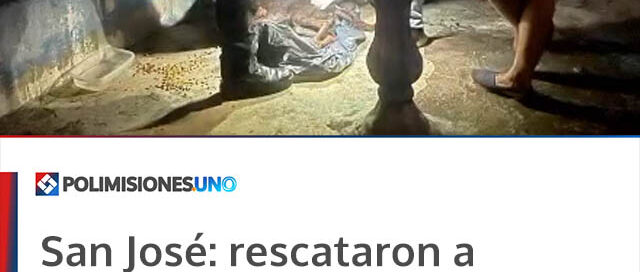 San José: rescataron a un perro en estado de abandono y notificaron a su propietaria